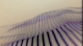 Citizens of the Climate sounds visualisation Work by India Gabb