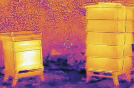 Thermography of bee hives Work by India Gabb
