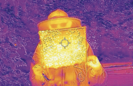 Thermography of bees with beekeeper Work by India Gabb