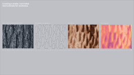 Arbo-hive biomimicry process, tree bark to thermoregulating geometry Work by India Gabb